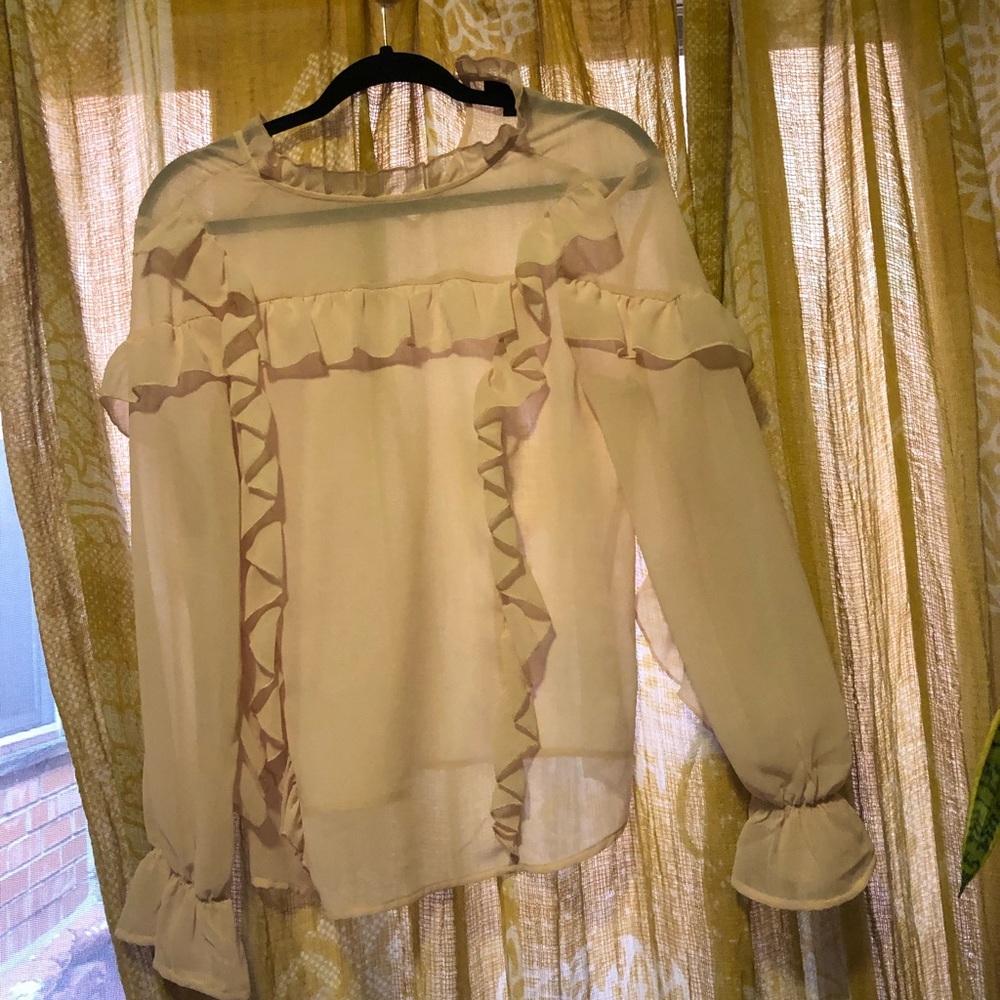 Light Pink Sheer Blouse- Who What Wear